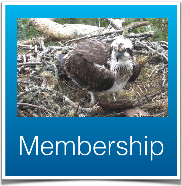 Membership