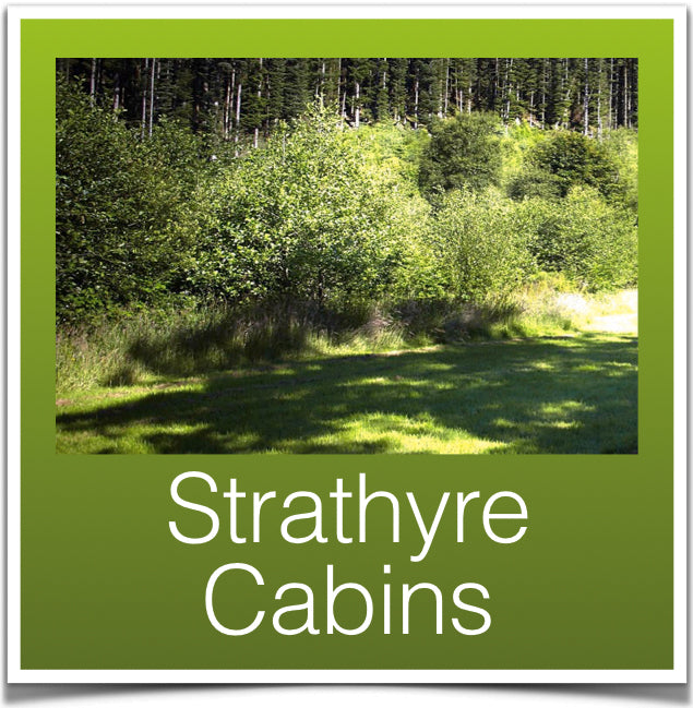 Strathyre Cabins