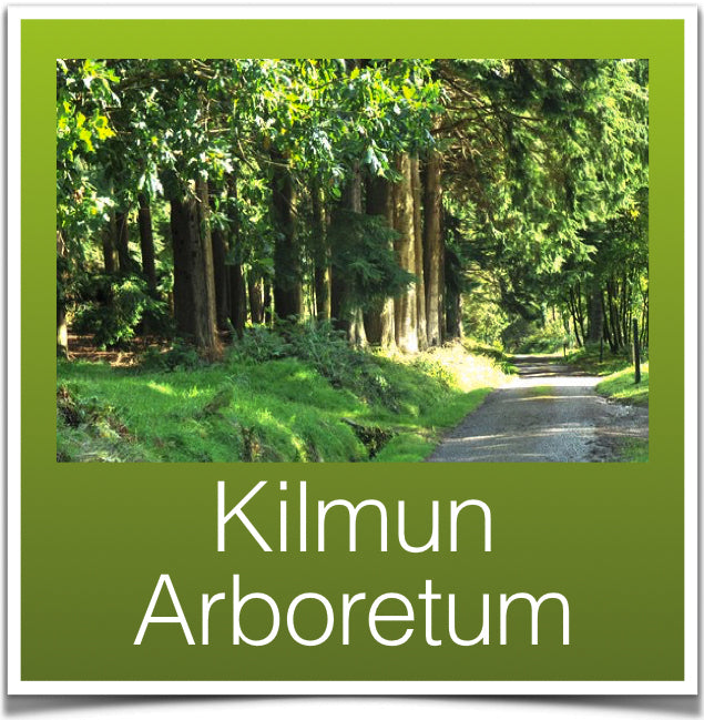 Kilmun Arboretum