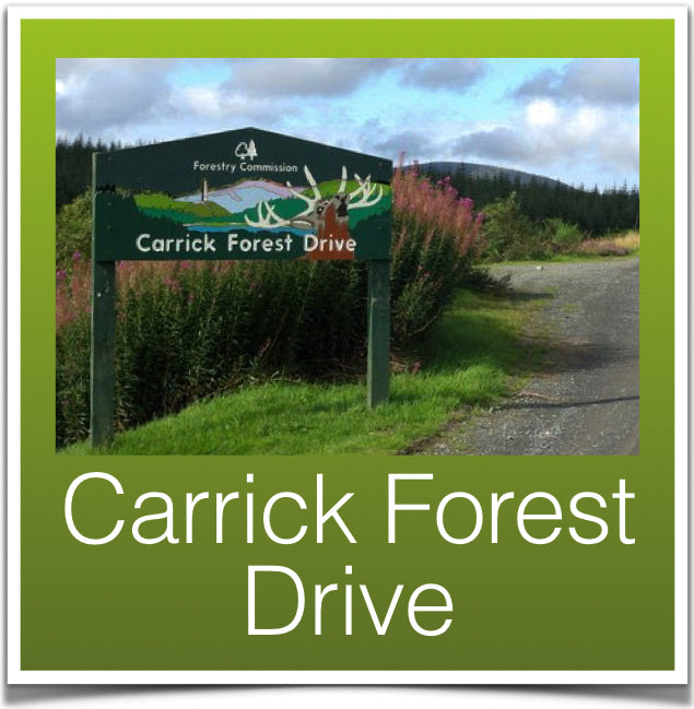Carrick Forest Drive
