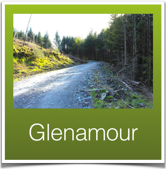 Glenamour