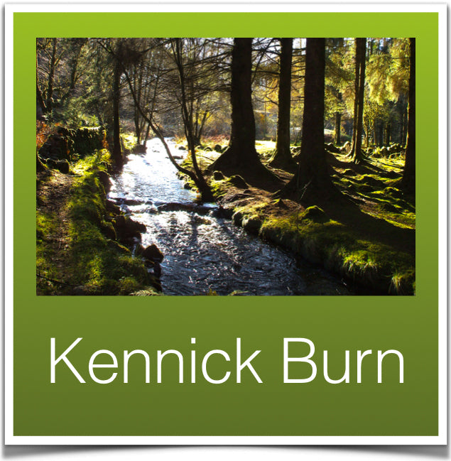 Kennick Burn