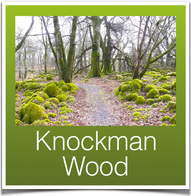 Knockman Wood