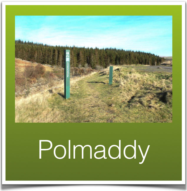 Polmaddy