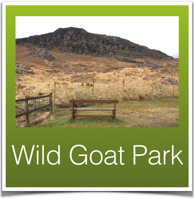 Wild Goat Park