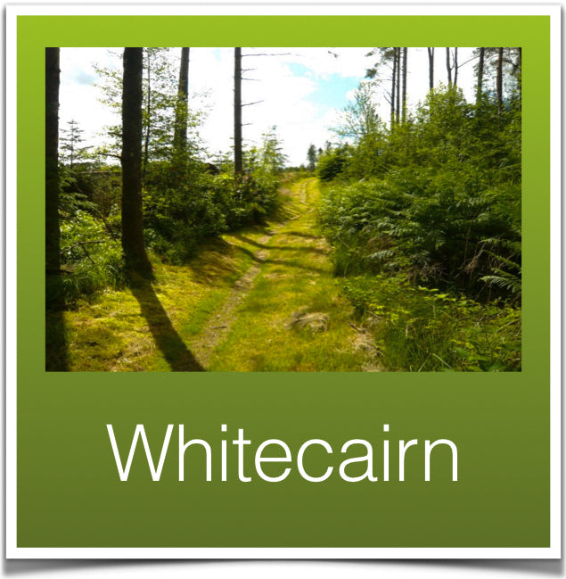 Whitecairn