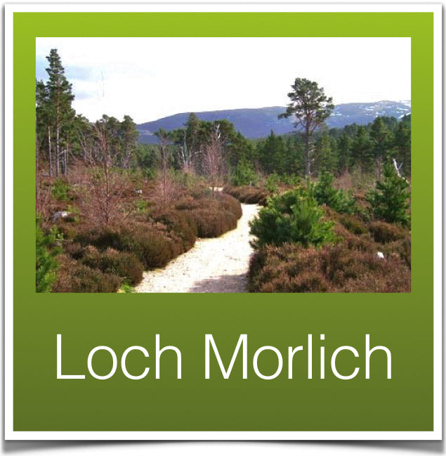 Loch Morlich