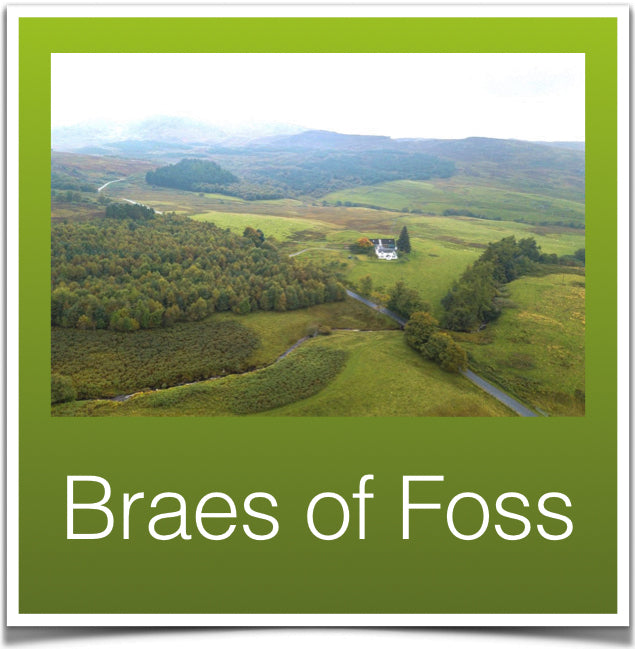 Braes of Foss