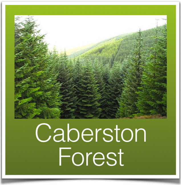 Caberston Forest