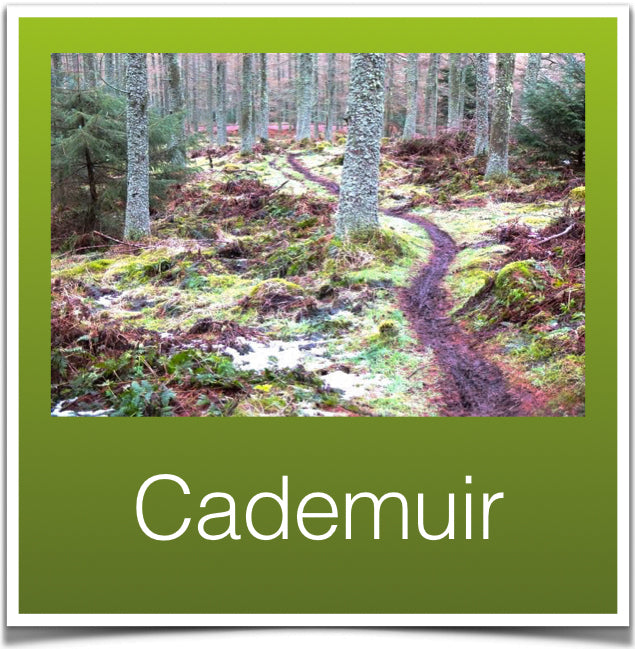 Cademuir