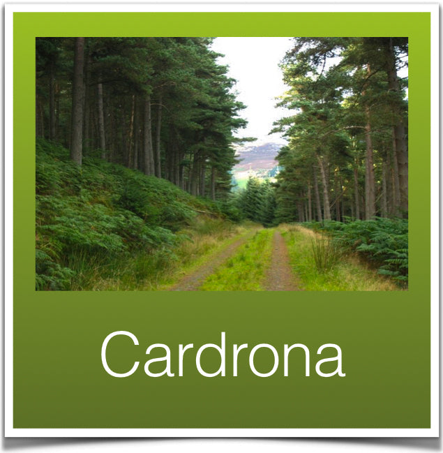 Cardrona