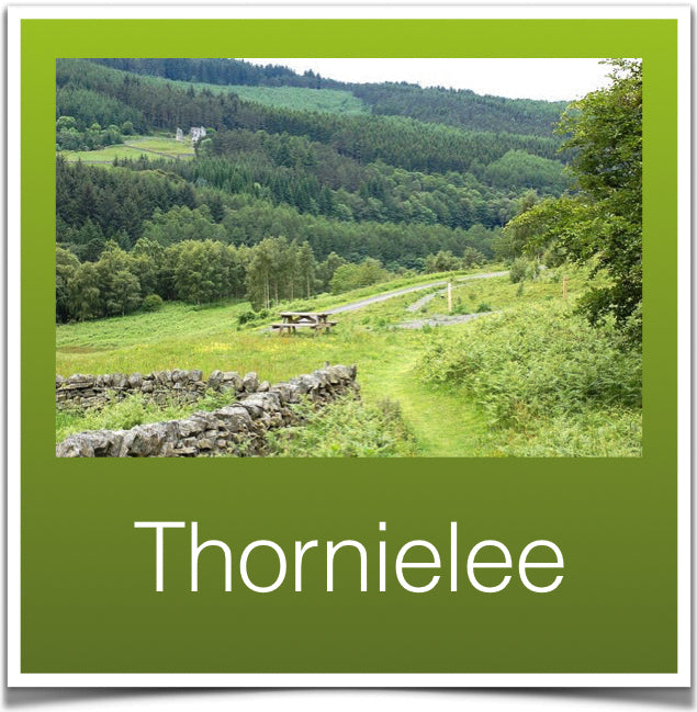 Thornielee