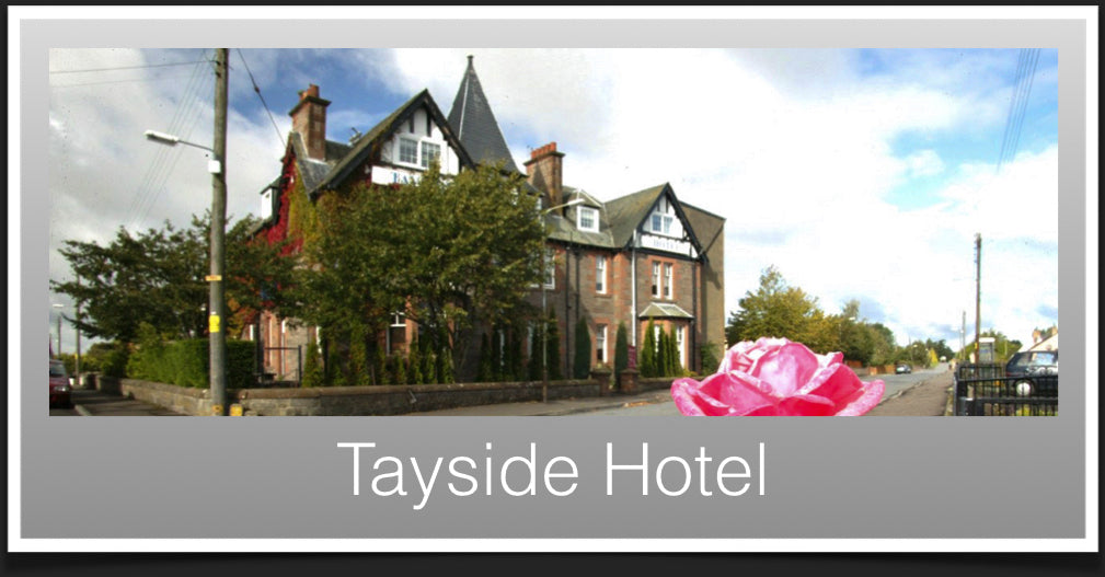 Tayside Hotel