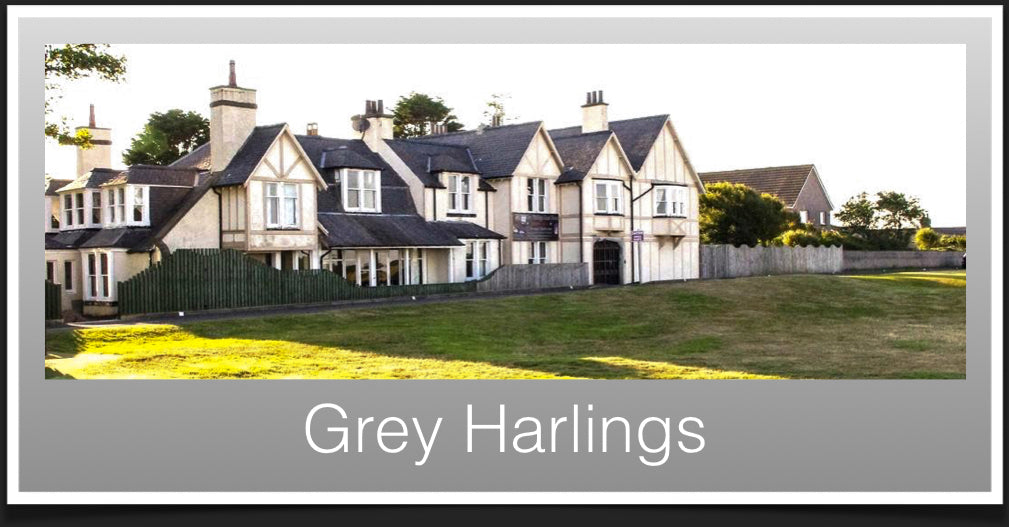 Grey Harlings