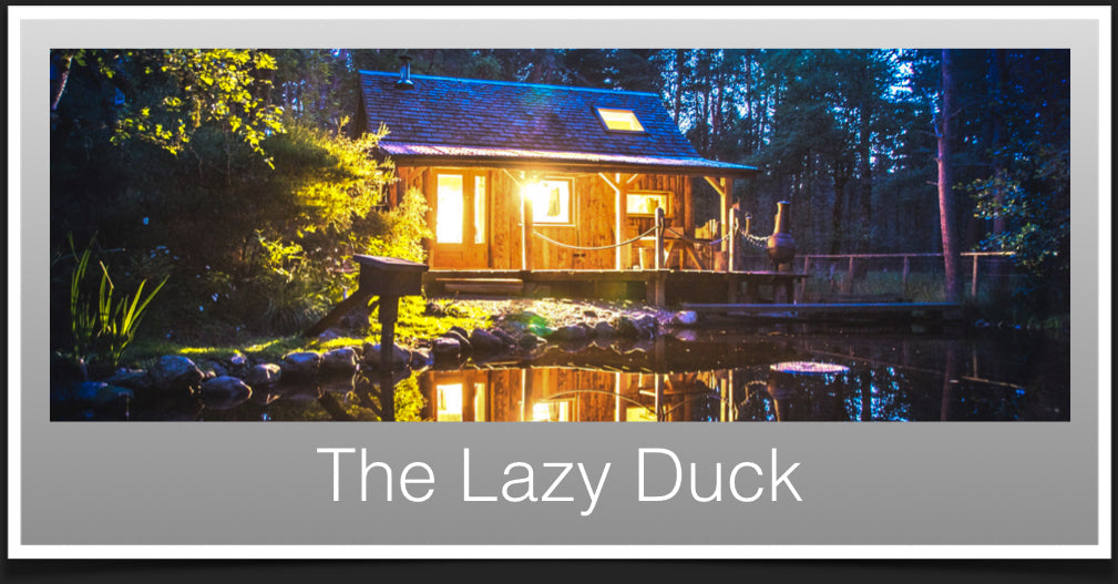 The Lazy Duck