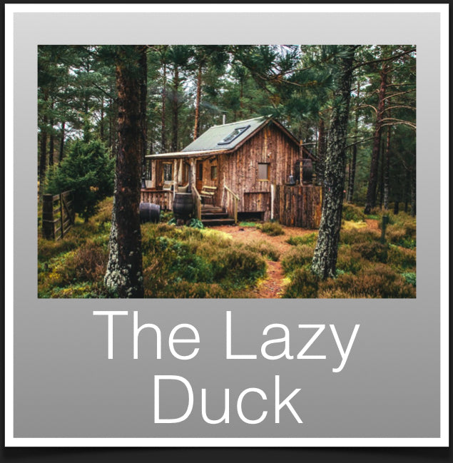 The Lazy Duck