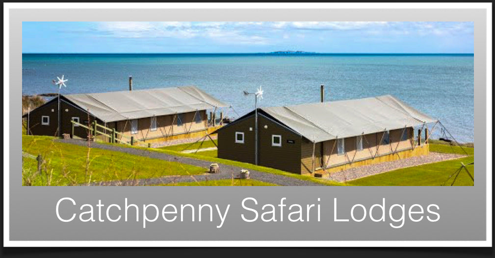 Catchpenny Safari Lodges