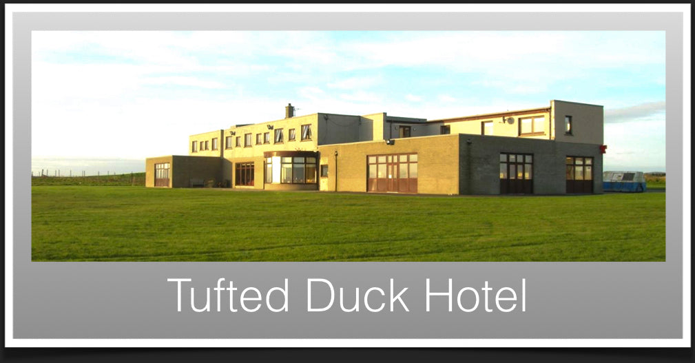 Tufted Duck Hotel