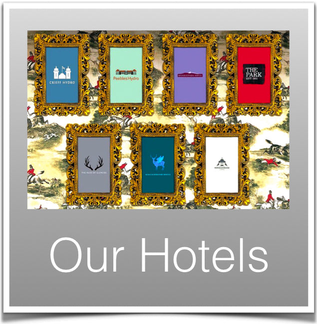 Our Hotels