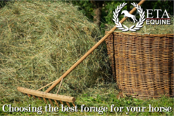 Choosing forage