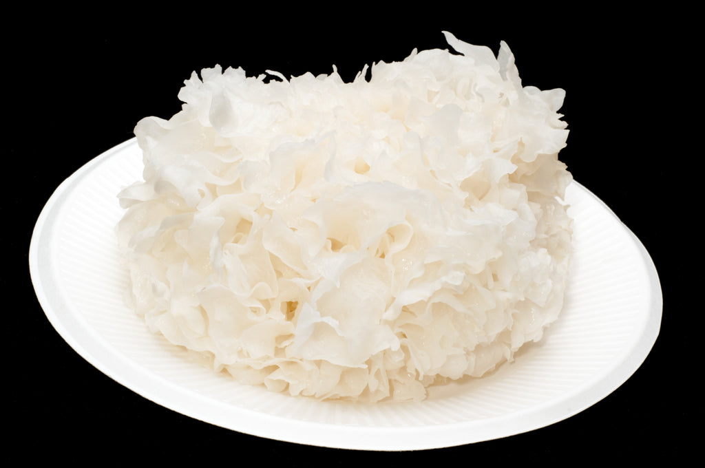 Tremella Mushroom