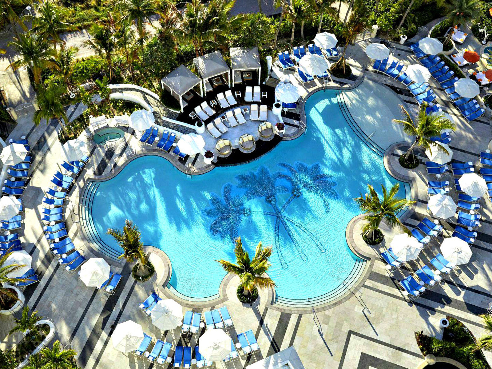 loews hotel miami beach pool