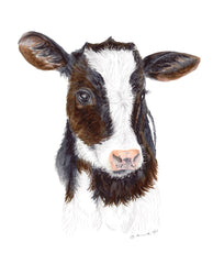 Baby Cow Portrait