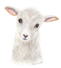 Lamb Artwork