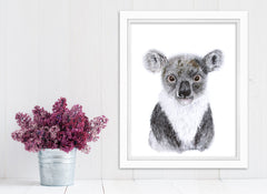 Framed Baby Koala Animal Print