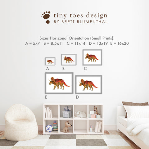 Canvas Size Guide - Tiny Toes Design