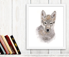 Framed Baby Wolf Portrait