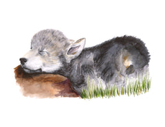Sleeping Baby Wolf Animal Print