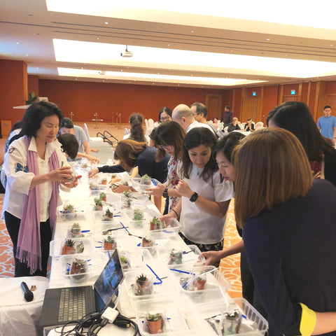 Lush Glass Door hosted a corporate terrarium workshop for Singapore General Hospital SGH annual staff retreat 1