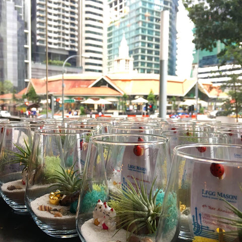 Corporate Gifts Customised Terrariums for Legg Mason Singapore
