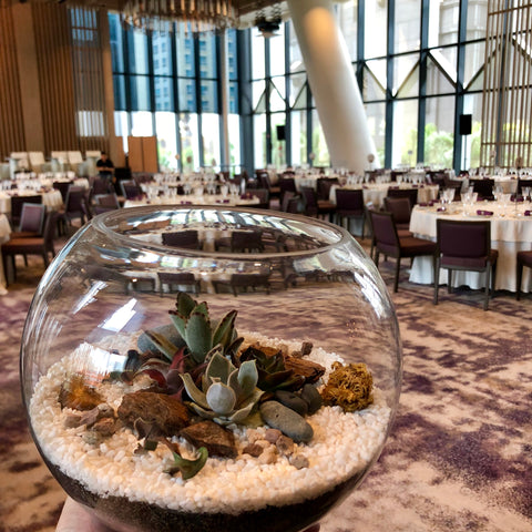 Succulent Terrarium Centerpiece by Lush Glass Door