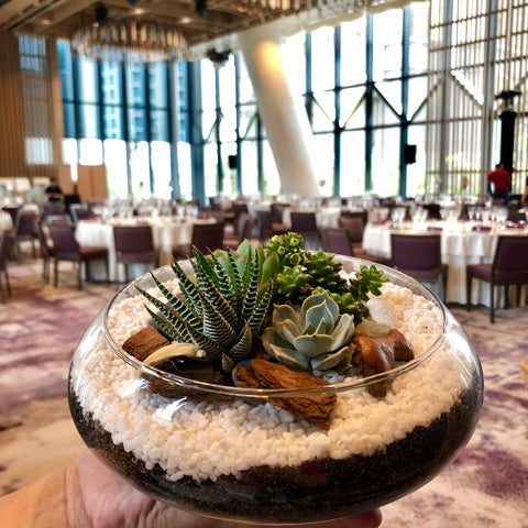 Rustic Succulent Terrarium Centerpiece by Lush Glass Door