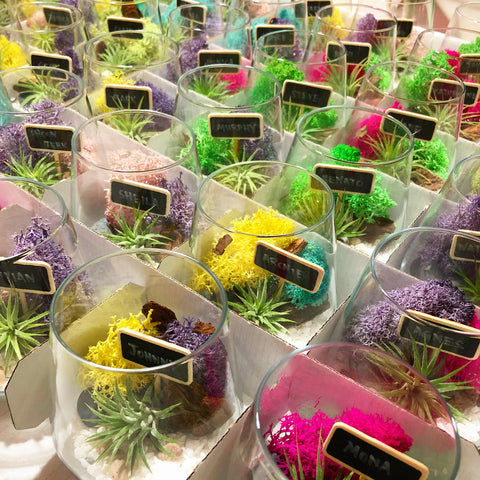 Stunning Modern Airplant Terrariums as Corporate Gifts for The Ritz Carlton