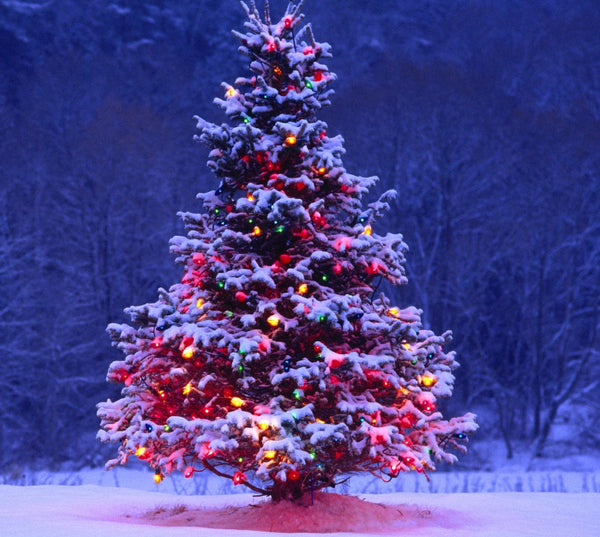 Outdoor Christmas tree with decorations