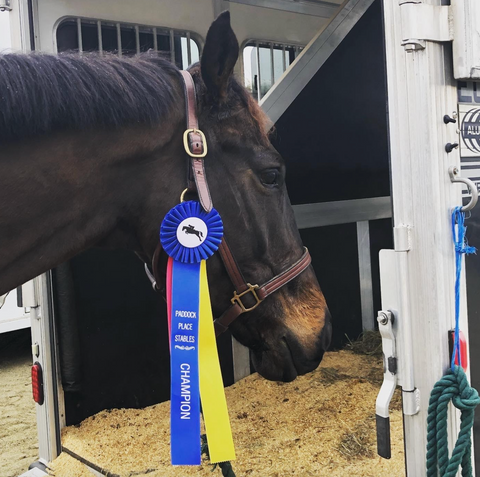 Dillon brings home a tricolor at his first horse show!