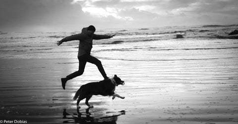 Man and dog running on the beach