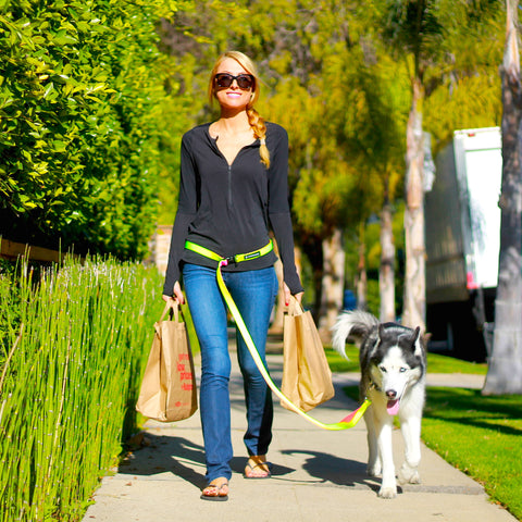 dog leash for grocery shopping