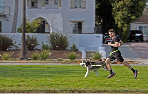 man running with dog using hands free leash