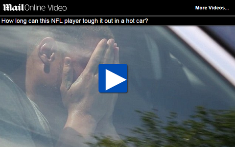 PETA video for dogs in hot car NFL player
