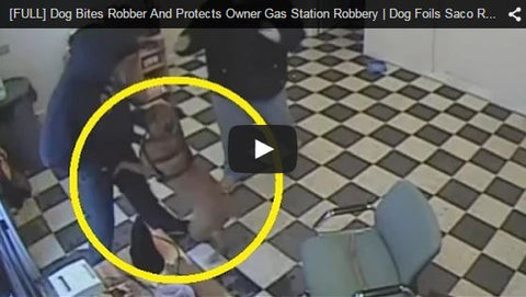 dog foils are robbery attempt