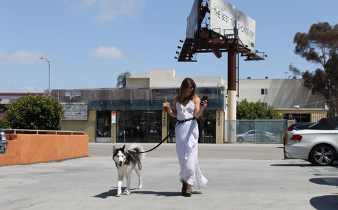 woman with coffee and phone and dog