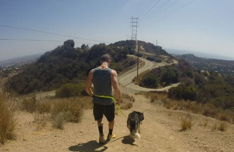 dog hikes best things to do with your dog