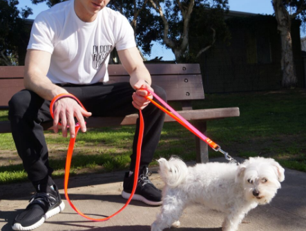 comfortable dog leash handle
