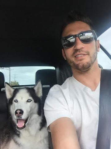 siberian husky sitting in back seat of owners car