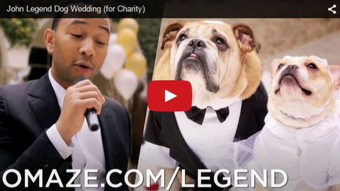 john legend marrying dogs promo