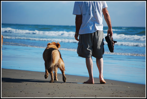 mans best friend man walking on beach with dog